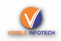 Visible Infotech
